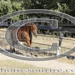 2025-©photo-sourire.com-IZOTOP-1065