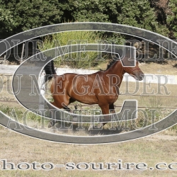 2025-©photo-sourire.com-IZOTOP-1066