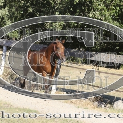 2025-©photo-sourire.com-IZOTOP-1068