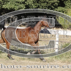 2025-©photo-sourire.com-IZOTOP-1069