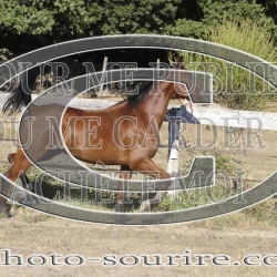 2025-©photo-sourire.com-IZOTOP-1070