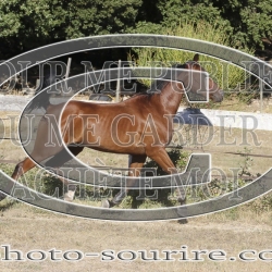 2025-©photo-sourire.com-IZOTOP-1071