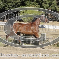 2025-©photo-sourire.com-IZOTOP-1072