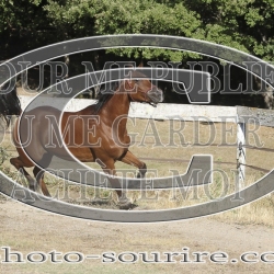 2025-©photo-sourire.com-IZOTOP-1073