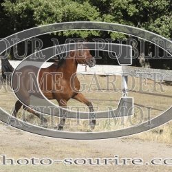 2025-©photo-sourire.com-IZOTOP-1074