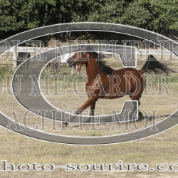 2025-©photo-sourire.com-IZOTOP-1075