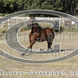 2025-©photo-sourire.com-IZOTOP-1076