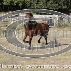 2025-©photo-sourire.com-IZOTOP-1077