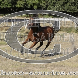 2025-©photo-sourire.com-IZOTOP-1078