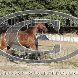 2025-©photo-sourire.com-IZOTOP-1079