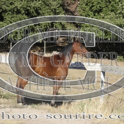 2025-©photo-sourire.com-IZOTOP-1082