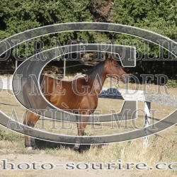 2025-©photo-sourire.com-IZOTOP-1083