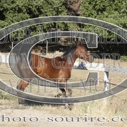 2025-©photo-sourire.com-IZOTOP-1084