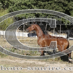 2025-©photo-sourire.com-IZOTOP-1085