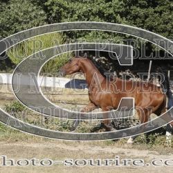 2025-©photo-sourire.com-IZOTOP-1087