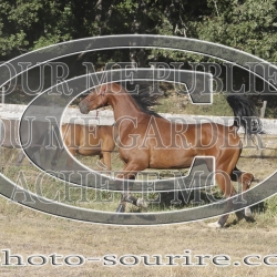 2025-©photo-sourire.com-IZOTOP-1088