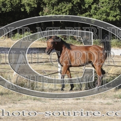 2025-©photo-sourire.com-IZOTOP-1089