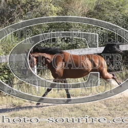 2025-©photo-sourire.com-IZOTOP-1090