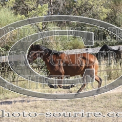 2025-©photo-sourire.com-IZOTOP-1091