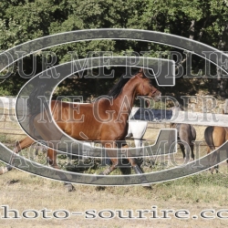 2025-©photo-sourire.com-IZOTOP-1092