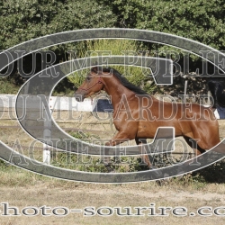 2025-©photo-sourire.com-IZOTOP-1094