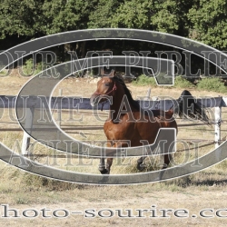 2025-©photo-sourire.com-IZOTOP-1095