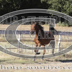 2025-©photo-sourire.com-IZOTOP-1096