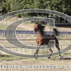 2025-©photo-sourire.com-IZOTOP-1097