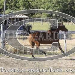 2025-©photo-sourire.com-IZOTOP-1099