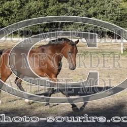 2025-©photo-sourire.com-KIESTU-1006