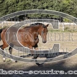 2025-©photo-sourire.com-KIESTU-1007