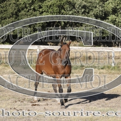 2025-©photo-sourire.com-KIESTU-1010