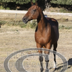 2025-©photo-sourire.com-KIESTU-1011