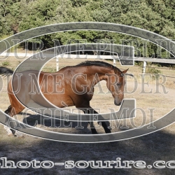 2025-©photo-sourire.com-KIESTU-1012