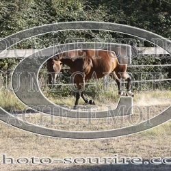 2025-©photo-sourire.com-KIESTU-1014