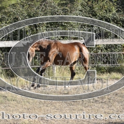 2025-©photo-sourire.com-KIESTU-1016