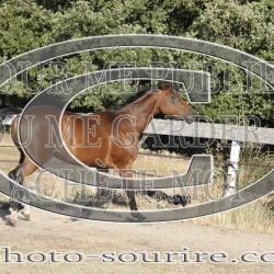 2025-©photo-sourire.com-KIESTU-1018