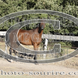 2025-©photo-sourire.com-KIESTU-1019