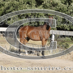 2025-©photo-sourire.com-KIESTU-1021