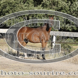 2025-©photo-sourire.com-KIESTU-1022