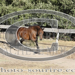 2025-©photo-sourire.com-KIESTU-1023