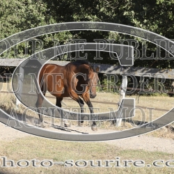 2025-©photo-sourire.com-KIESTU-1024