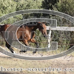 2025-©photo-sourire.com-KIESTU-1025