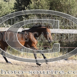 2025-©photo-sourire.com-KIESTU-1026