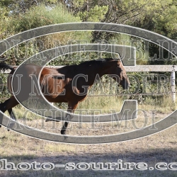 2025-©photo-sourire.com-KIESTU-1027