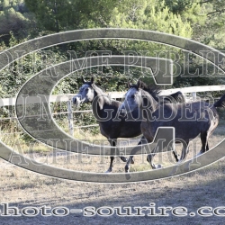 2025-©photo-sourire.com-NIKEL-1003