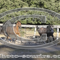 2025-©photo-sourire.com-NIKEL-1010