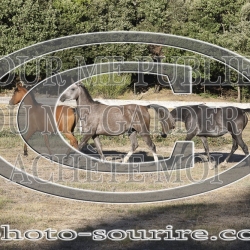 2025-©photo-sourire.com-OPERA-1000