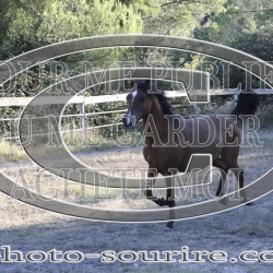 2025-©photo-sourire.com-OPERA-1001