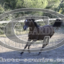 2025-©photo-sourire.com-OPERA-1002